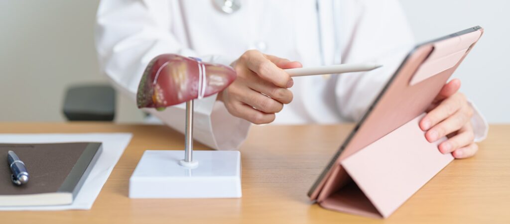 Doctor with human Liver model and tablet. Liver cancer